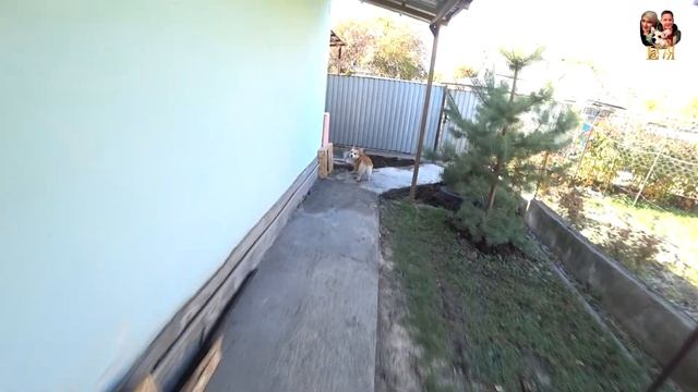 Закрытие сезона 3 часть: отмечаем 12 лет вместе, готовим огород к зиме, сажаем чеснок смотреть онлайн