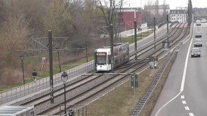 Straßenbahn Potsdam - zwischen Rathaus Babelsberg und Platz