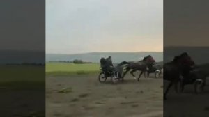 Иноходцы и Рысаки скачки на тачанках