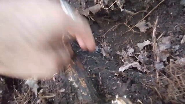 ОБРЕЛА ЖИЗНЬ СПУСТЯ СОТНЮ ЛЕТ. СОБРАЛ ПО ЧАСТЯМ С ИНТЕРВАЛОМ В ПОЛТОРА ГОДА. смотреть онлайн