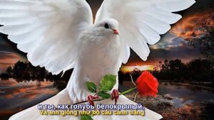 Я ОТ ТЕБЯ ВДАЛИ МОЙ БОГ (Em xa anh rồi, Chúa của em) Стелла Джанни (Subtitles)