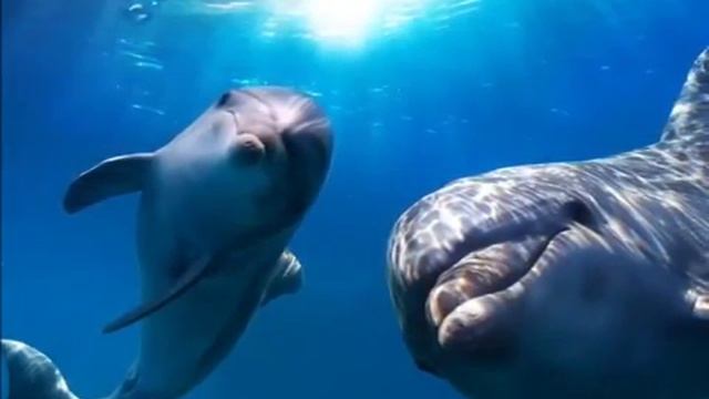 СВЯЩЕННОЕ ПИСАНИЕ глазами Елены Уайт - 2 часть смотреть онлайн