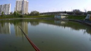 Боковой кивок в черте города. Развеяться перед работой