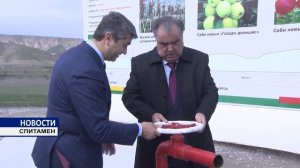 Суперинтенсивный сад  в районе Спитамен