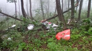 Два человека погибли при крушении легкомоторного самолета в Приморье