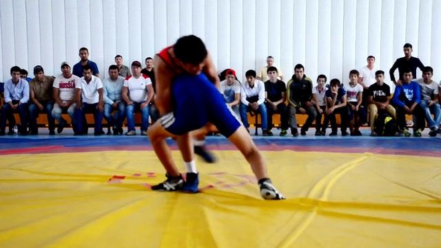 Степные богатыри смотреть онлайн