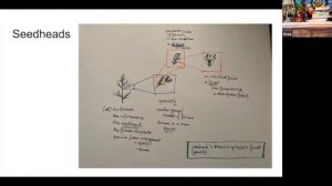 Plant Families in Our Foods - Week Eight