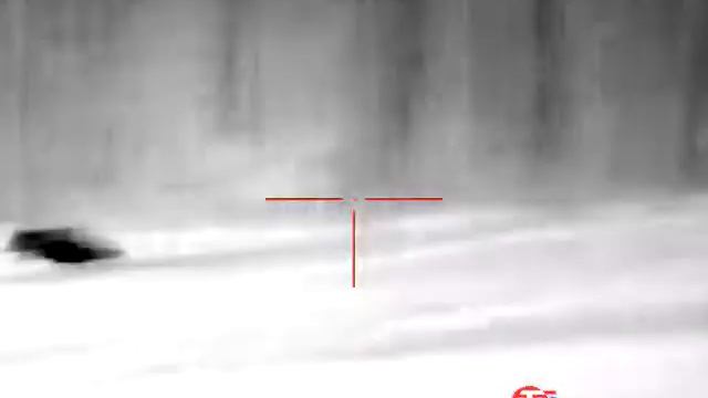 Охота на кабана. Прицел ATN MARS 4 384 4.5-18 смотреть онлайн