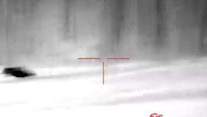 Охота на кабана. Прицел ATN MARS 4 384 4.5-18