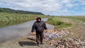 Камчатка. Лосось и браконьеры.