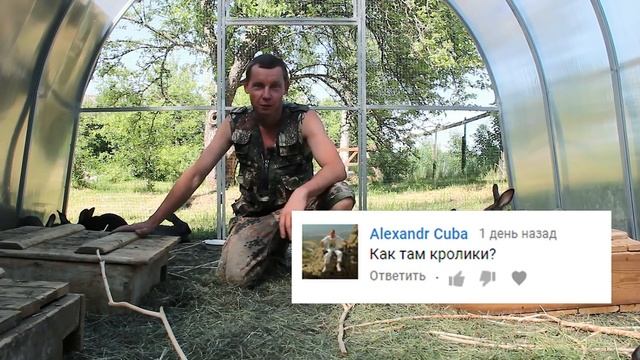 ПРОМОКЛИ ради ГУСЕЙ!//Вырастил КРОЛИКОВ-ГИГАНТОВ? смотреть онлайн