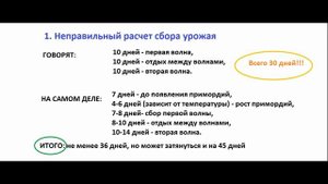 Грибной бизнес: выгодно или нет? Стоит ли покупать оборудованное помещение для выращивания вешенки.