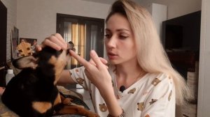 Смена зубов у собаки. Когда? Или как уследить за правильным прикусом своей собаки