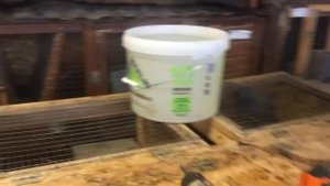 Поение кроликов зимой.