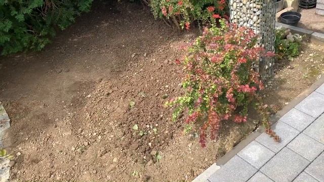 ОБЛАГОРАЖИВАЕМ УЧАСТОК ПЕРЕД ДОМОМ. РАЗГРЕБАЕМ ЗАВАЛЫ. ЗАСЫПАЕМ КАМНЯМИ. смотреть онлайн