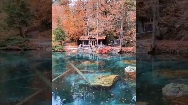 Lake Blausee, Switzerland LovE NaturE