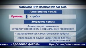 ОДЫШКА - ПРИЧИНЫ. РЕКОМЕНДАЦИИ СПЕЦИАЛИСТА