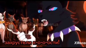 коты воители Бич