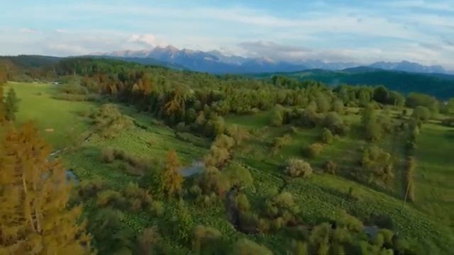 ВОССТАНОВЛЕНИЕ НЕРВНОЙ СИСТЕМЫ?лечебная музыка для сердца и сосудов, релакс, музыка для души смотреть онлайн