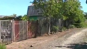 Клумба на даче, клумбы на даче своими руками
