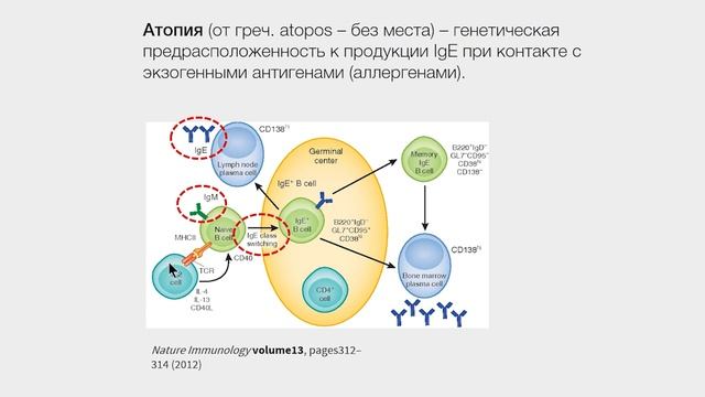 Реакции гиперчувствительности