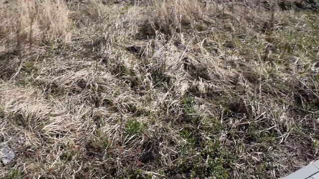 Устройство Отмостки. Устройство дорожек. Мощение брусчаткой. Зима прошла смотрим что стало. 2018