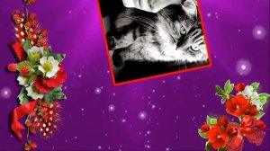 Прекрасная песня о женщине. Я СИЛЬНАЯ.Послушайте.