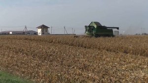 уборка кукурузы на зерно 2018