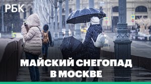 Зима вернулась в Москву — майский снегопад обрушился на столицу и Подмосковье