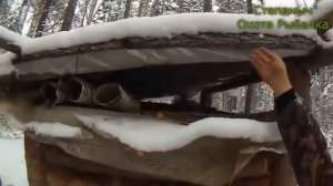 Как быстро построить проходное зимовьюшко   (Чаёвня)