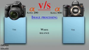 Sony Alpha 290 vs Sony Alpha 900