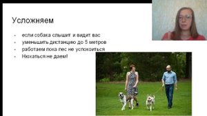 Как правильно познакомить собак?  Как познакомить двух сук? Как подружить двух собак кобелей? щенка