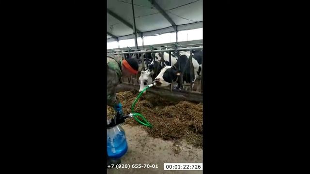 Дренчер для выпойки коров