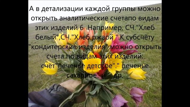 СИНТЕТИЧЕСКИЕ и АНАЛИТИЧЕСКИЕ СЧЕТА