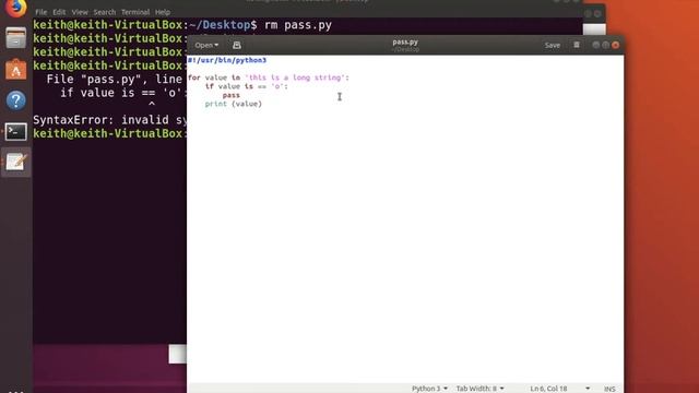 Automation with Python - Flow Control & the pass statement