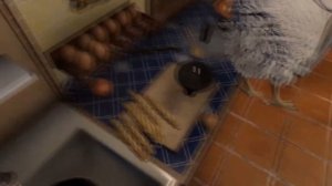 -ОХАЁ? КАВО ОХАЁ??|*ОДИН ДЕНЬ ИЗ ЖИЗНИ ЧЕЛА*|новая нарезка