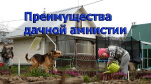 Преимущества дачной амнистии.mp4