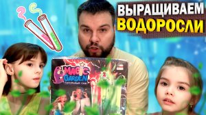 ВЫРАЩИВАЕМ ВОДОРОСЛИ | химичим | семейный канал