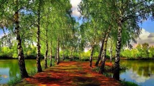 Звуки природы, шум леса, пение птиц