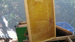 Распечатка нож Джеро