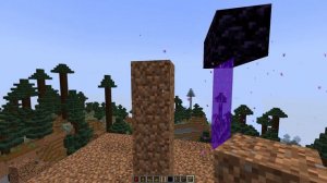 Minecraft mini Update Suppressor/Portal без рамок