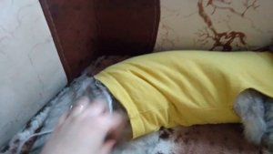 После стерилизации разошлись швы.