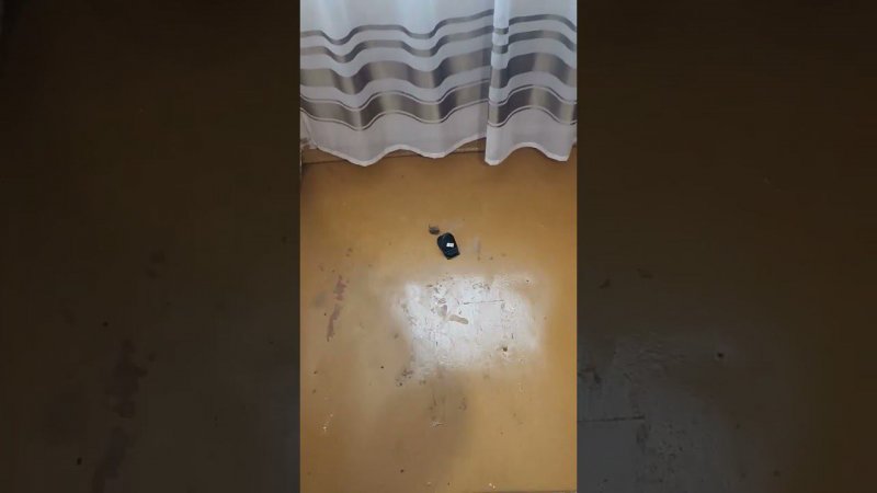 Борьба на даче с маленькими грызунами продолжается... Дачная жизнь.