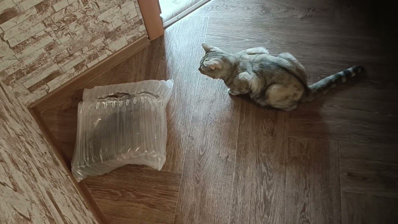 7 августа 2022 г. смотреть онлайн