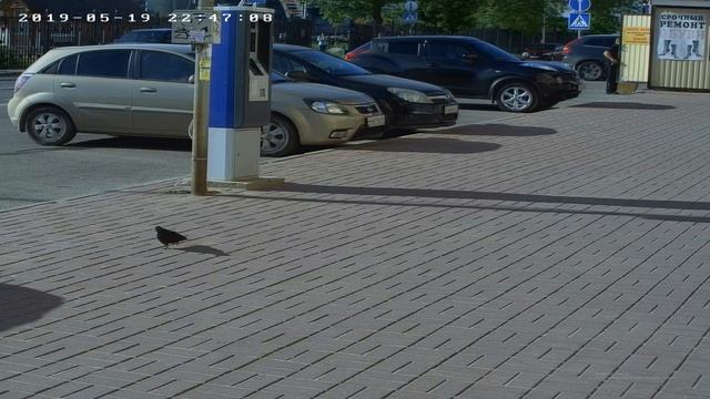 Уличная камера AHD SVN-BQ40HTC5005S 2,7-13,5мм 5Мп (день). смотреть онлайн