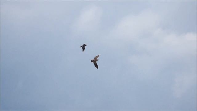 Красивая музыка пианино!Beautiful piano music.