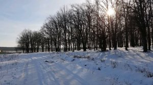 Бестянка, Пензенская область