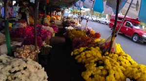 Что интересного в Чиангмай, впечатления о городе