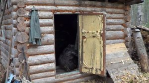 Жизнь в тайге. На проверку зимовья