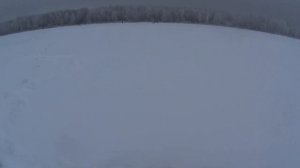 6 самых уловистых проводок для безмотылки